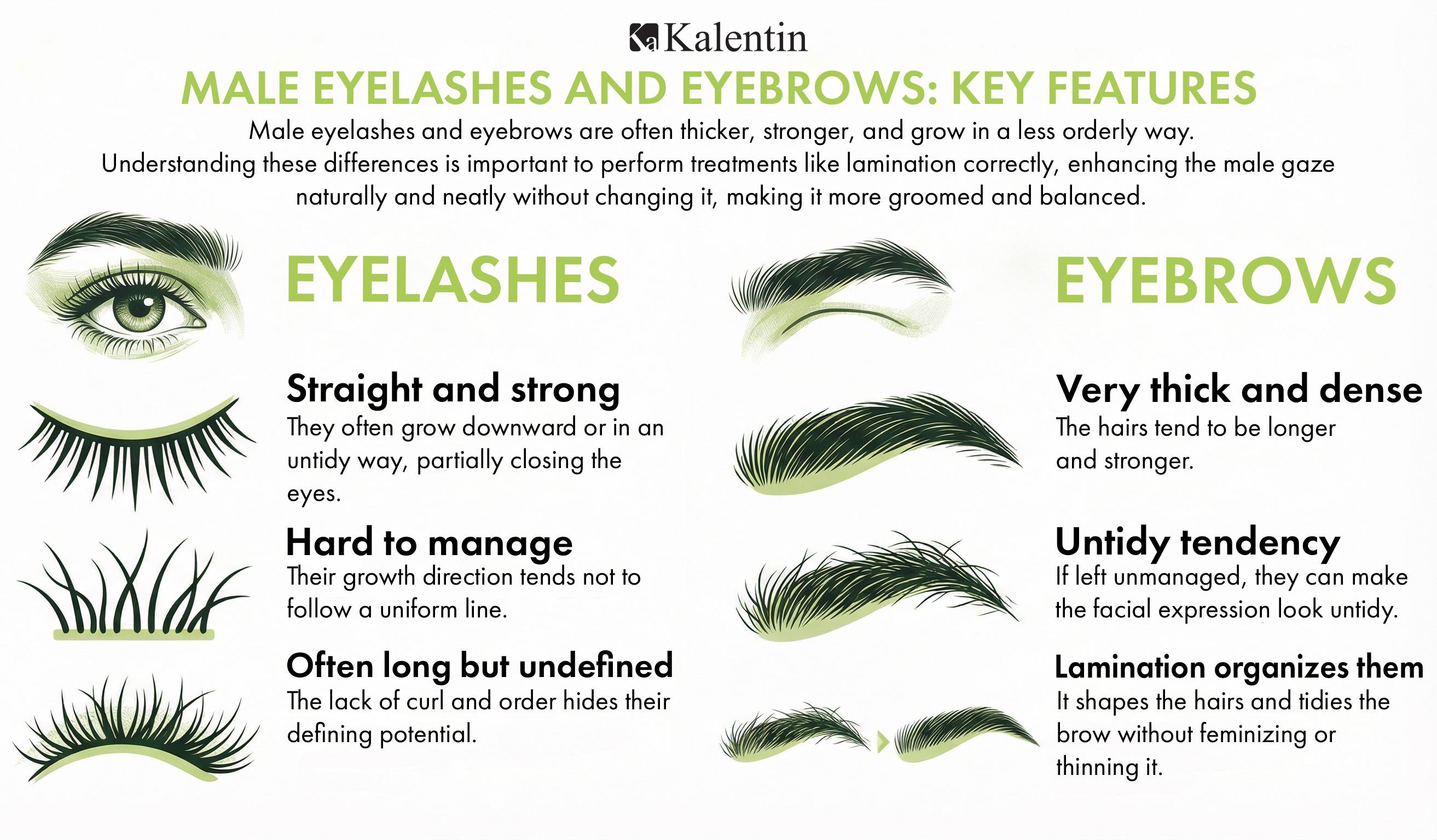 Male eyelashes features